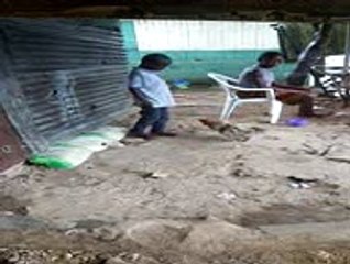 Le coq noussi d'attecoube  [176x144 H263]