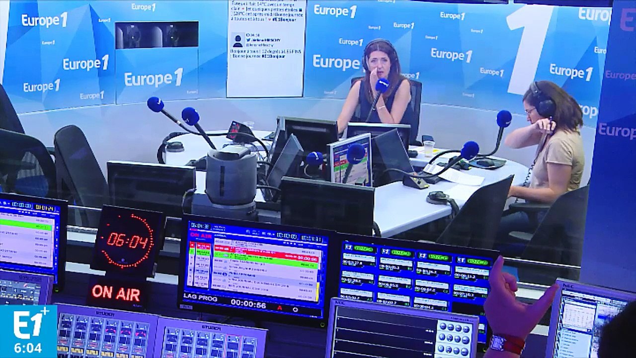 Lâcher d'ours dans les Pyrénées : certains élus font la grimace