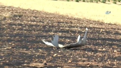 Adıyaman'da Düşen Uçağın Pilotu 27 Kilometre Uzaklıkta Bulundu