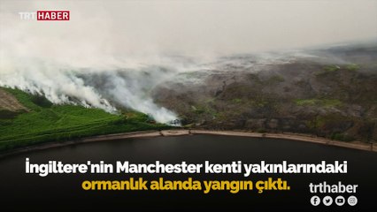 İngiltere'deki orman yangını yerleşim bölgelerine ulaştı