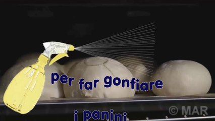 MICHETTA FATTA IN CASA