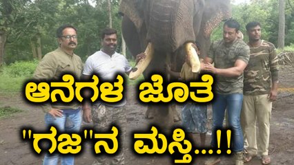 ಕಾಡಲ್ಲಿ, ರಿಲ್ಯಾಕ್ಸ್ ಮೂಡಲ್ಲಿ ಡಿ ಬಾಸ್...! | Filmibeat Kannada