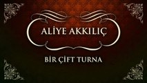 Aliye Akkılıç - Bir Çift Turna (45'lik)