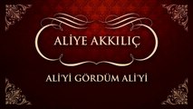 Aliye Akkılıç - Ali'yi Gördüm Ali'yi (45'lik)