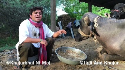 ખજૂરભાઈ નો તબેલો  - Khajur bhai ni moj - jigli khajur comedy video