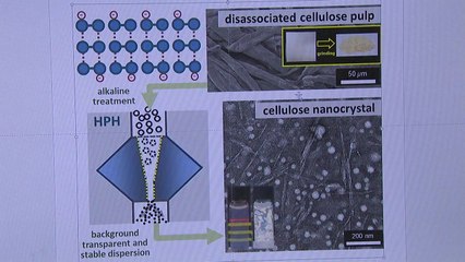 나무 추출 '나노 셀룰로스' 친환경 공정 개발 / YTN