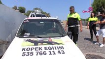 Antalya Otomobilde Aç, Susuz ve Havasız Bırakılan Köpeği Polis Kurtardı Hd