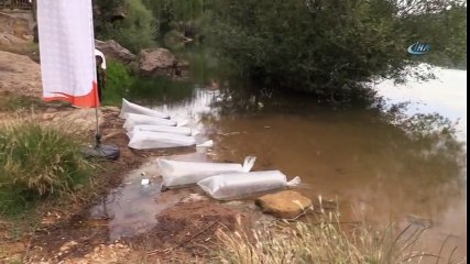 Uşak'ta Göletlere 100 Bin Yavru Balık Bırakıldı
