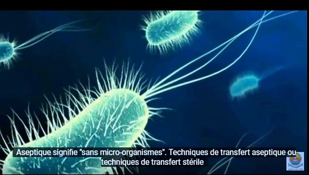 Techniques aseptiques et transfert de micro organismes