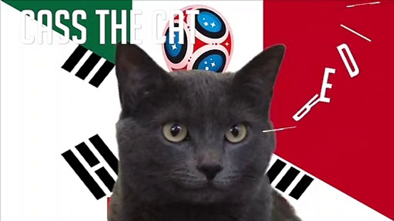 Marco Reus Big Chance HD - South Korea 0 - 0 Germany 27.06.2018