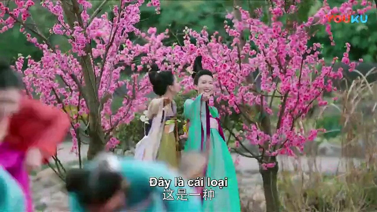 Manh Phi Giá Đáo - Tập 24