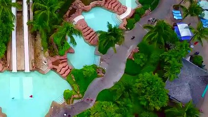 BAHAMAS SHARK HOTEL is Back! (Funnel Vision @ Atlantis 2018)