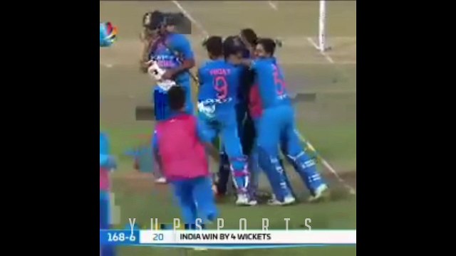 Cricket Beat Drops - Cricket Beat Drop Vines