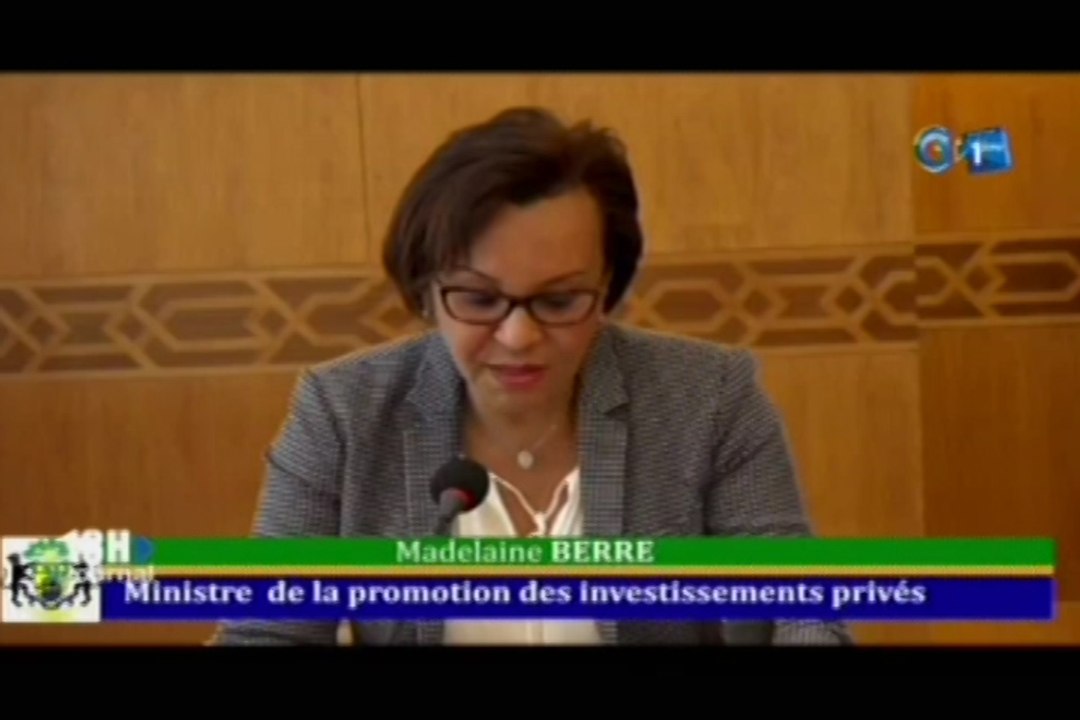 Audition des Ministres des Transports et de la Promotion des Investissements Privés par les sénateurs membres des affaire économiques