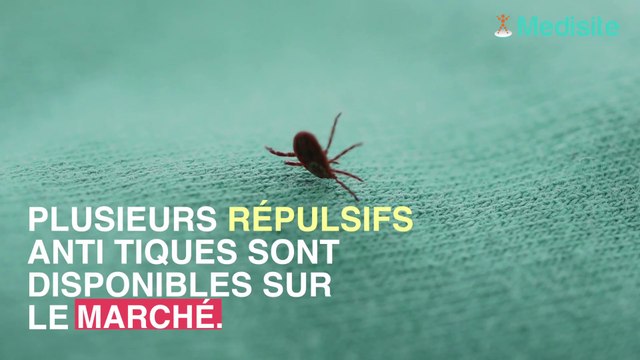 Tiques : 10 répulsifs sur 13 estimés efficaces