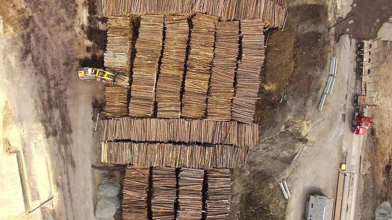 40 Football Fields of Trees Disappeared Every Minute in 2017