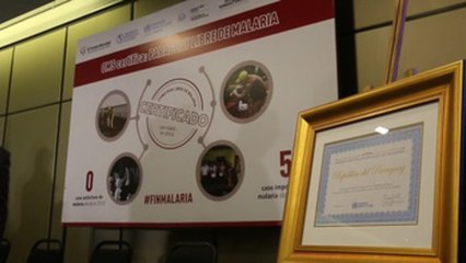 Paraguay libre de transmisión de chagas en julio tras erradicar malaria
