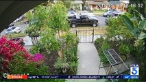 LAPD Releases Body Camera Footage from Officer-Involved Shooting