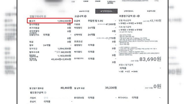 휴대전화 싼값에 드려요 돈만 받아 챙긴 일당 덜미 / YTN