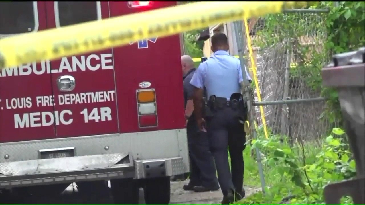 Lawmaker Calls for ‘State of Emergency’ to Combat Violent Crime in St. Louis