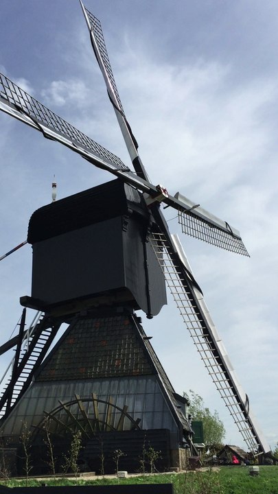 Kinderdijk 3 - pays bas - avril 2018