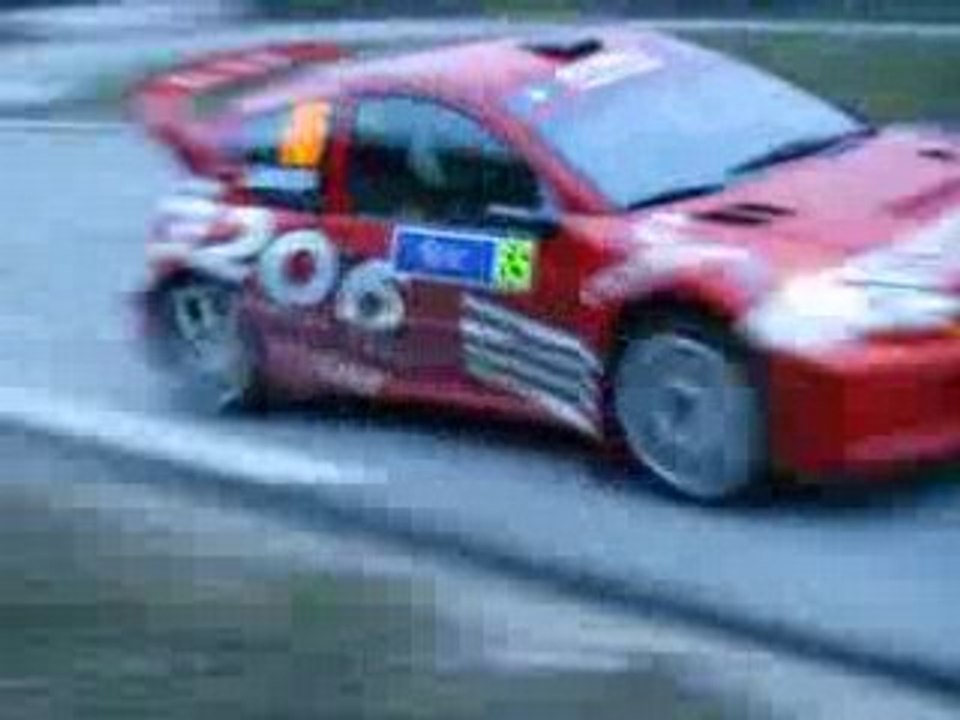 telethon 2007 a montagnole(73) 206 wrc/p.henry