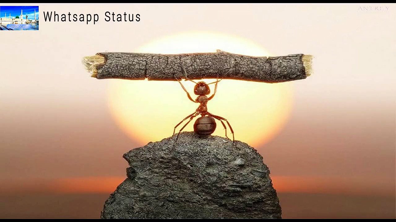 ye mat kaho khuda se meri mushkile badi hai whatsapp status