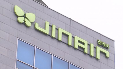 진에어 면허취소 여부, 청문 거친 뒤 결정 / YTN