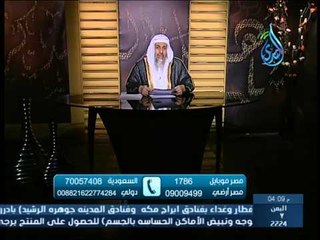 ما الذي يجوز للعاقد والمعقود عليها  الشيخ مصطفى العدوي