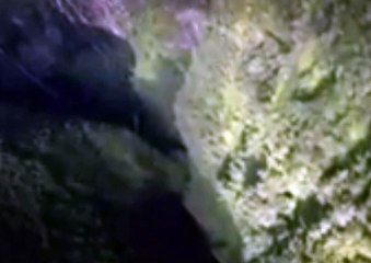 온라인스포츠토토 인터넷스포츠토토  DKRT2쩜 C0M♤♤로하이배팅방법