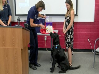 PUPPY POWER! Hero dog honored by Mesa Fire Department - ABC15 Digital