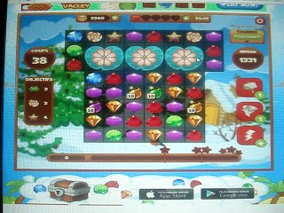 Pirate Treasure-Level 1331