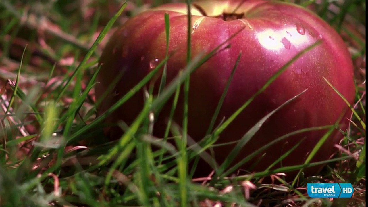 Robert Gibbon Johnson and theTomato