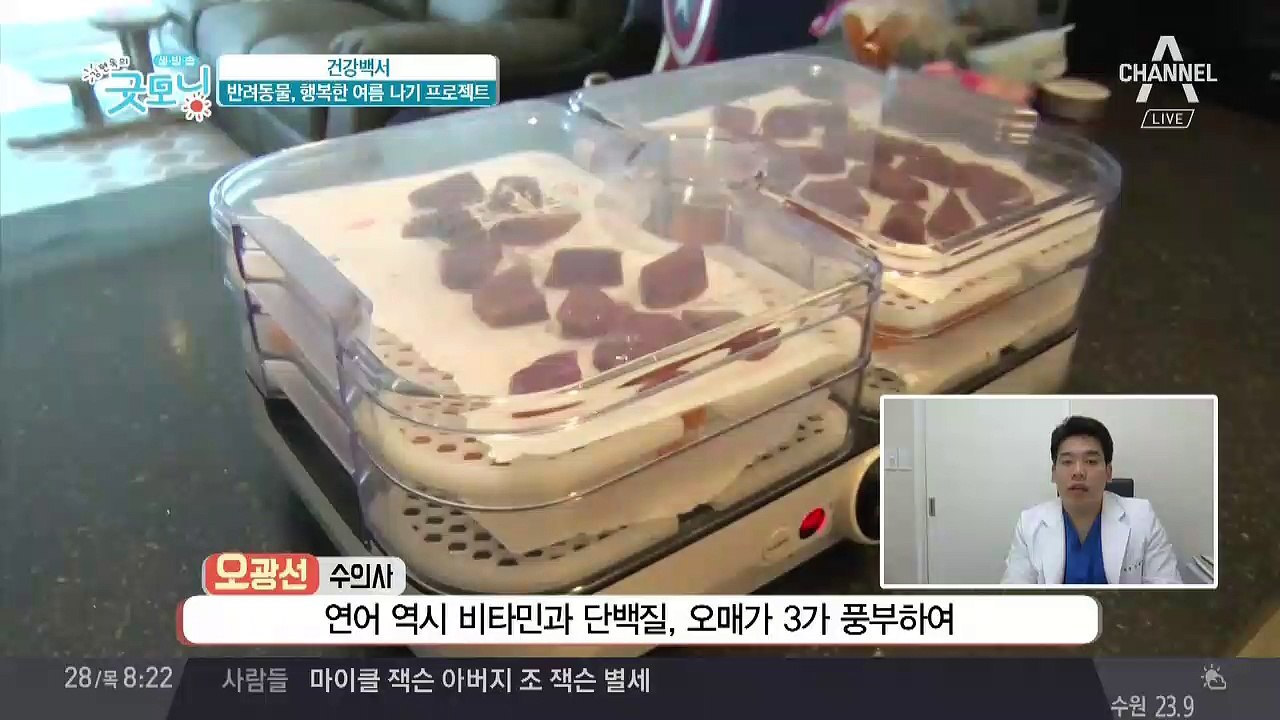 강아지 '눈물 자국' 없애주는 건강 간식 대공개?