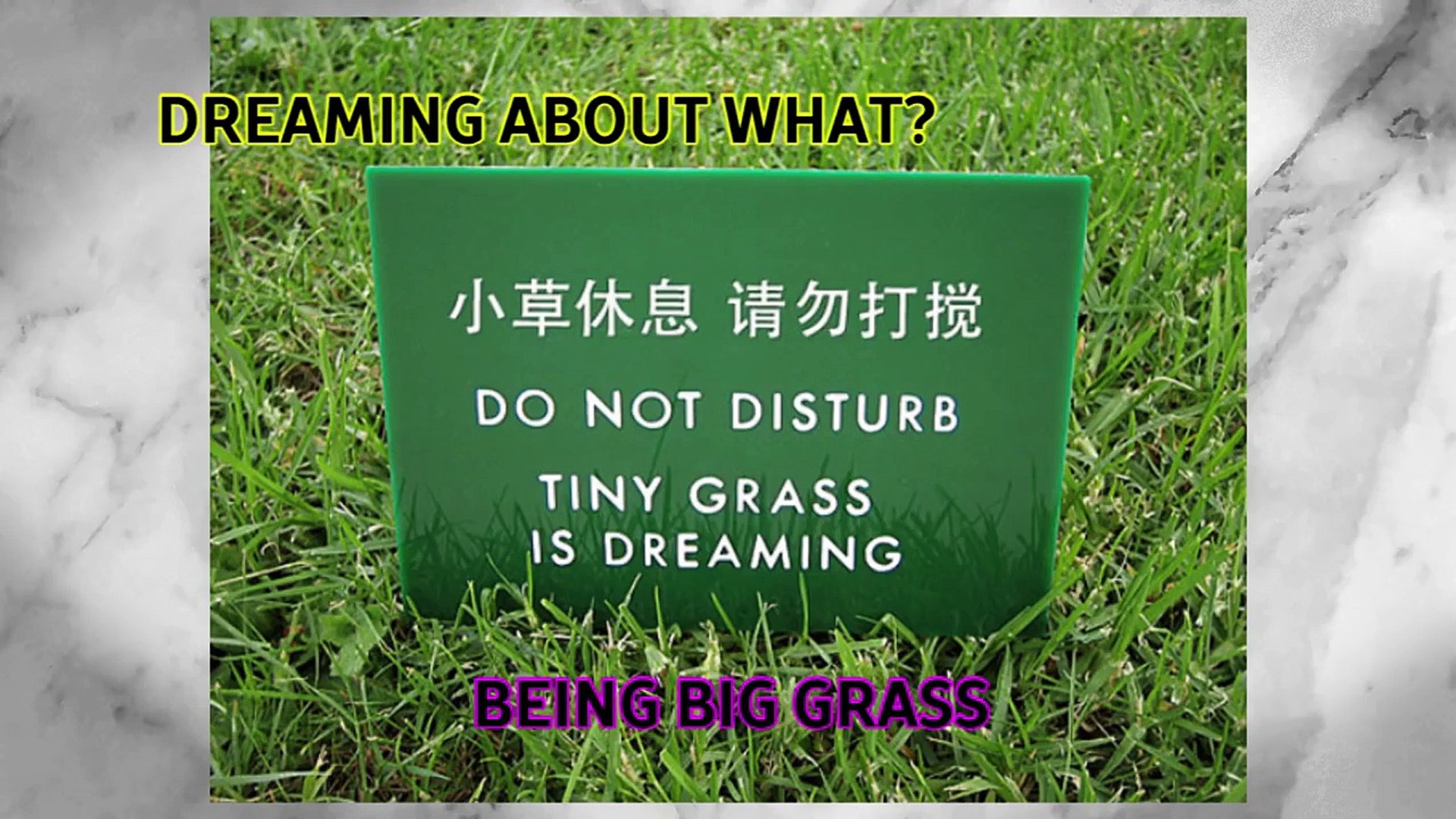 When Google Translate Goes Wrong