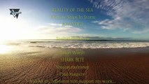 (REALITY OF THE SEA) Ultimate Ships In Storm EXTENDED Compilation. ( 720 X 1280 )