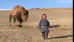 Every child in Mongolia memorizes the poem "I am a Mongol" (Bi Mongol Hun) written by Ch. Chimed. Mongolians love composing songs and poems about the nature, ho
