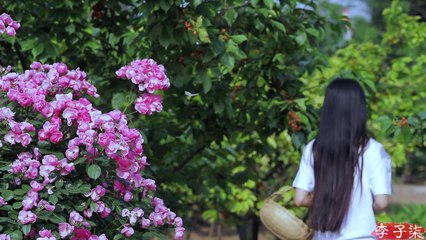 季節のデザート、桜の模様があなたに送られます