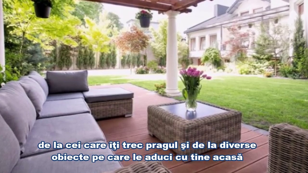 Adauga sare si otet intr un pahar cu apa si pune l in orice punct al casei tale! Uite ce se intampla