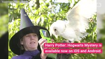 'Harry Potter: Hogwarts Mystery' Lets You Have Pets Now