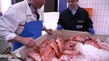 Frischer Fisch aus Hamburg | Wie geht das? | NDR