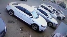 فيديو لص يسرق أضحية العيد من سيارة في السعودية