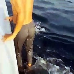 Teens Rides Whale Shark's Back