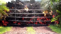 فورد موستنج يتم التهامها بالكامل من الحمم البركانية في هاواي