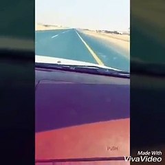 ماذا ستفعل إذا وجدت هذا المخلوق على زجاج سيارتك؟