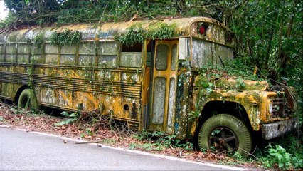 فيديو 20 حافلة مدرسية جميلة مهجورة حول العالم تذكرنا بأيام الطفولة