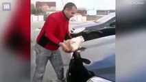 فيديو روسي يستخدم قطة حية لتنظيف سيارته