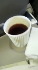 فيديو.. مواطن سعودي يقاضي الخطوط الجوية السعودية بسبب ذبابة