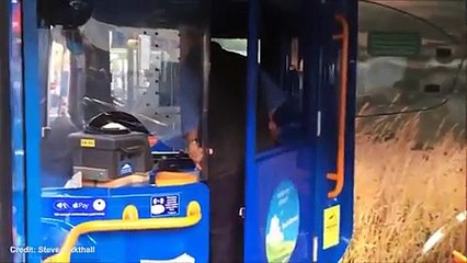 أقصر سائق حافلات في العالم... بريطاني من أصل عراقي