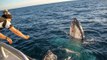 Boaters Have Close Encounter With Friendly Whales Off Augusta, Western Australia